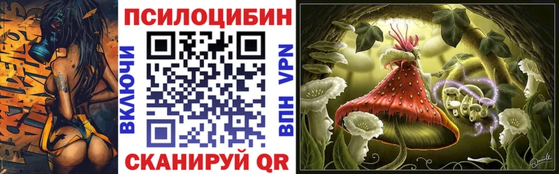 omg tor  Грязовец  Галлюциногенные грибы MAGIC MUSHROOMS 